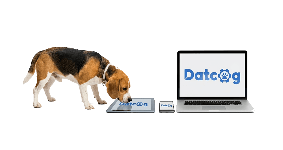 Beagle-DatCog brand
